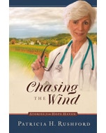 Chasing the Wind Book Cover